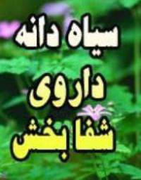 دانلود رایگان کتاب سیاه دانه های شفابخش با فرمت pdf
